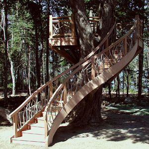 a backyard swing set